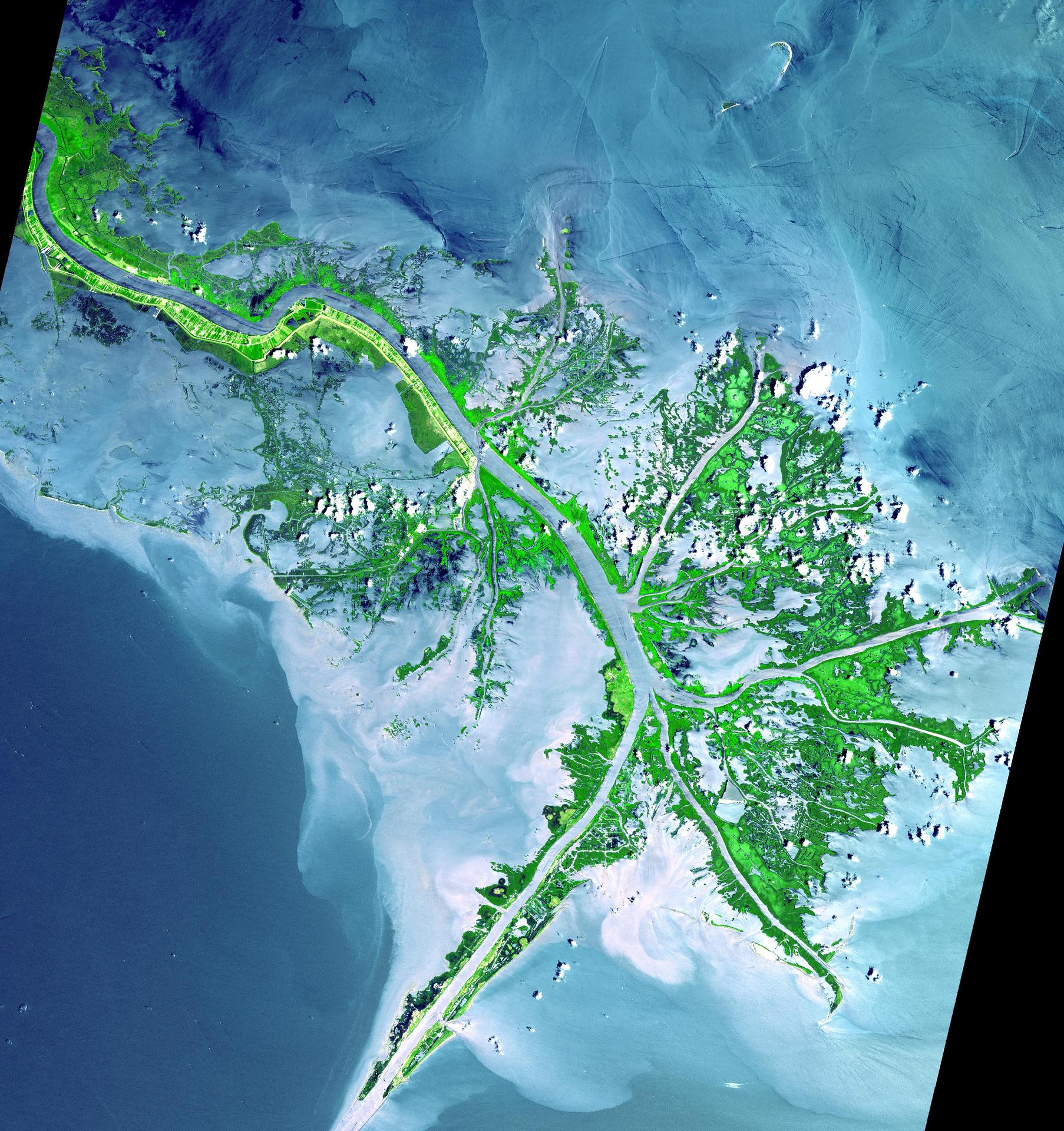 ASTER view of the Mississippi River Delta